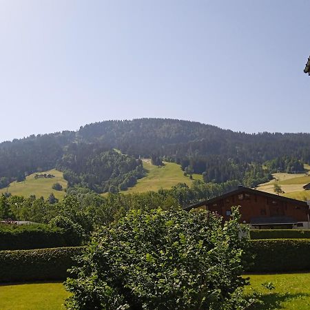 Ferienwohnung Studio Praz Sur Arly Exterior foto