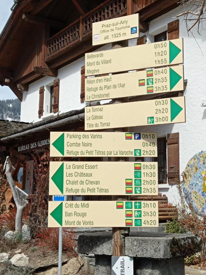 Ferienwohnung Studio Praz Sur Arly Exterior foto
