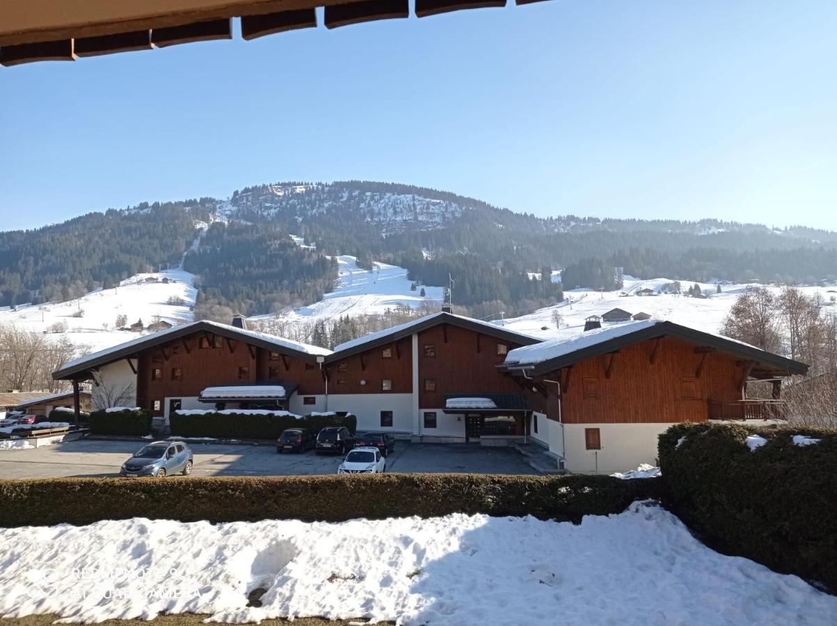 Ferienwohnung Studio Praz Sur Arly Exterior foto