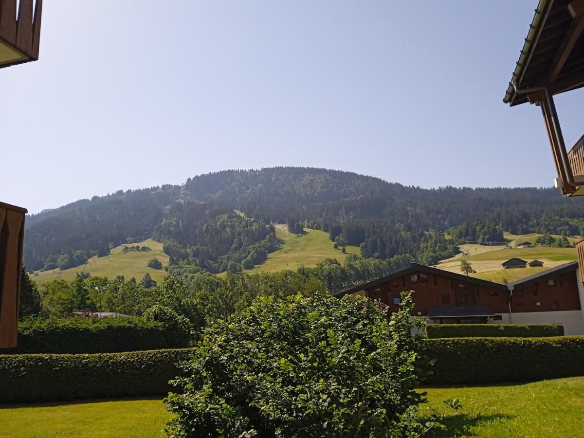 Ferienwohnung Studio Praz Sur Arly Exterior foto